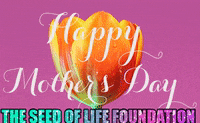 Mothers Day Love GIF by The SOL Foundation