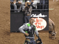 rodeioedit pbr rodeioedit pbr brasil pbr brazil GIF