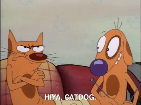 nicksplat GIF