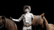 subpoprecords pride country music country cowboy GIF