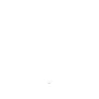 Freedom Jewish GIF by Thank You Hashem