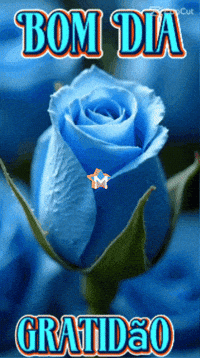 Bom Dia Amigos GIF by Murcianys LLC