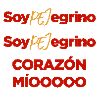 PEJ22 santiago iglesia jovenes juventud Sticker