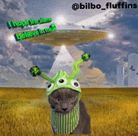 Bilbofluffins GIF