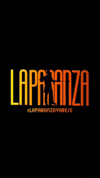 laparanza laparanza GIF