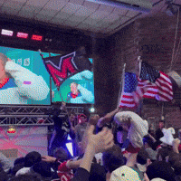 Hockey Usa GIF