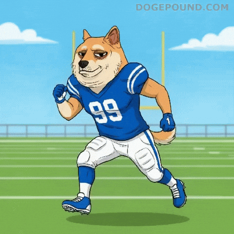 Lets Go Running GIF by Doge Pound