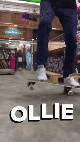 VIASKATESHOP giphygifmaker skate ollie via GIF