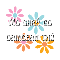 Gaeilge Gra Sticker by RaidioRiRa