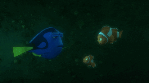 just keep swimming finding dory GIF by Disney/Pixar's Finding Dory