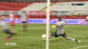 Partizan GIF by sportmts