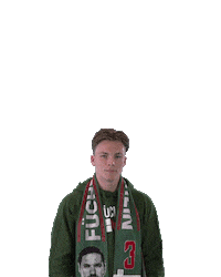 Handball-Bundesliga Fan Sticker by LIQUI MOLY HBL