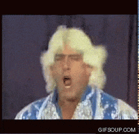 ric flair yes GIF