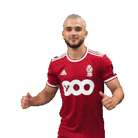 Football Soccer Sticker by Standard de Liège