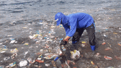 Earth Day GIF by 4ocean