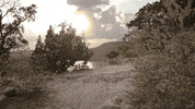 Happy Cystic Fibrosis GIF by AffloVest