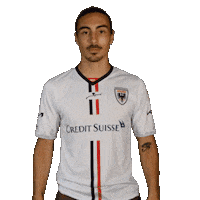 FCAarau heart fcaarau almeida mickaelalmeida Sticker