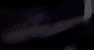 Isabelle Fuhrman Neon GIF by Signature Entertainment