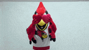 Mascot Reggie GIF by Illinois State University