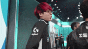 League Of Legends Lol GIF by G2 Esports