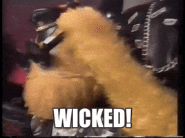 Video gif. Furry orange puppet wearing leather lifts its goggles off of its eyes and looks at us. Text, “Wicked.”