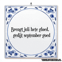 Nl Licht GIF by Tegelspreuken.nl