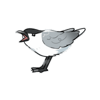 Gull-Billed Tern Tern Sticker