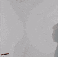 De Olho Observing GIF