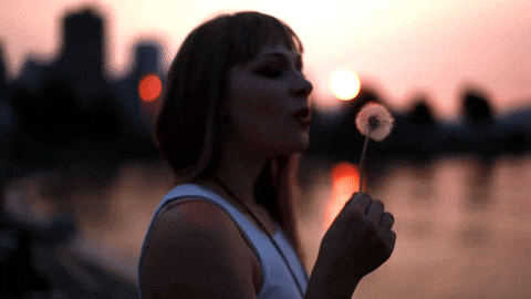 fundrunkwriter giphyupload GIF