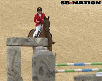 olympics GIF by SB Nation