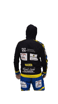 Sport Handball Sticker by tsv-buesum