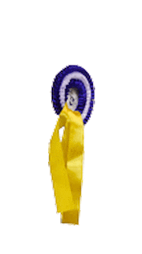 VER-Dinale winner reiten gewinner schleife Sticker