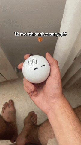 Prifezer giphyupload GIF