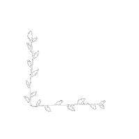 Drawing Plant Sticker