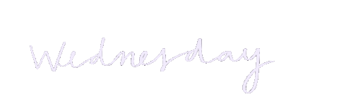 ceciliasolari giphyupload cheers vibes tuesday Sticker