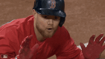 Boston Red Sox Baseball GIF by MLB