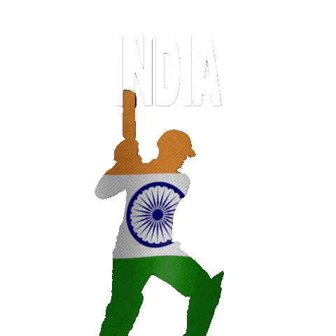 Cricket World Cup Sport Sticker by RightNow