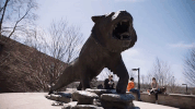 tiger statue GIF by Rochester Institute of Technology