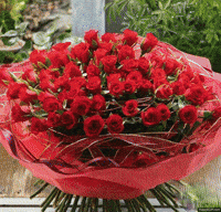 Flowers Roses GIF