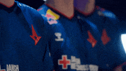 Team Cs GIF by BLAST