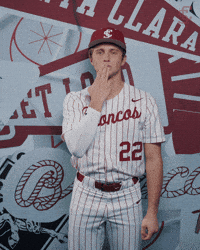 Bronco Baseball GIF by Santa Clara Broncos