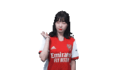 Arsenal Gunners Sticker by Shoot for Love