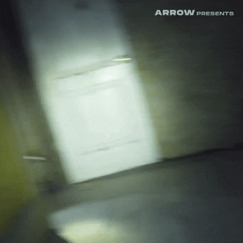 Found Footage Film GIF by Arrow Video