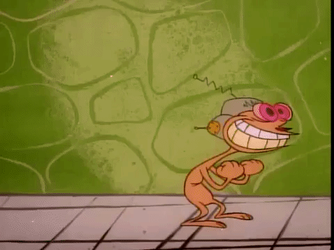ren and stimpy nicksplat GIF