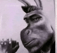 Donkey GIF