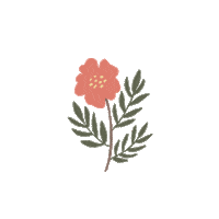 anggiyudia flower flowers floral anggiyudia Sticker