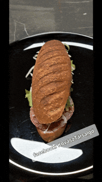 Sandwich Eat GIF
