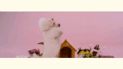 GIF by Sony Music Colombia