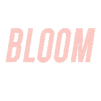 Hawaii Sticker by BLOOM Conference