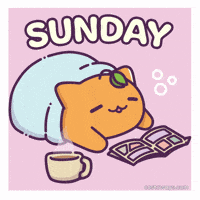 Happy Cat GIF by Castaways